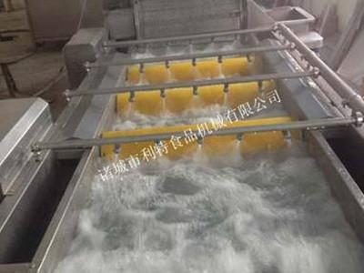 供应玉米漂烫机、玉米漂烫设备、玉米漂烫机生产厂家