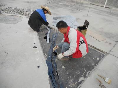 供应惠州防水工程，楼面防水工程