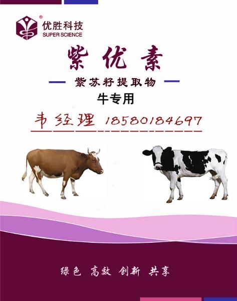重庆市蛋禽效应分析紫月优生素厂家供应蛋禽效应分析紫月优生素