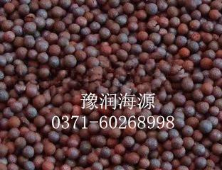 供应扬州生物陶粒用途/批发商