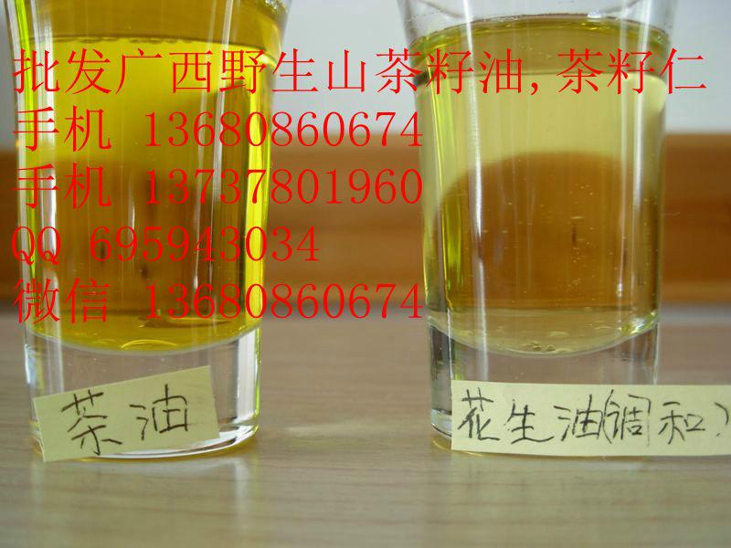 桂林市广西野生山茶油价格广西野生茶籽厂家广西野生山茶油价格,广西野生茶籽价格