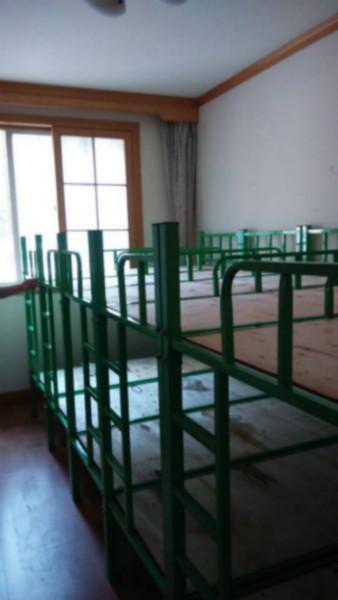 供应优质钢制儿童床，优质钢制儿童床价格，优质钢制儿童床批发