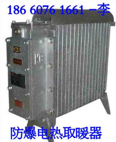 供应 矿用隔爆型127V电暖器