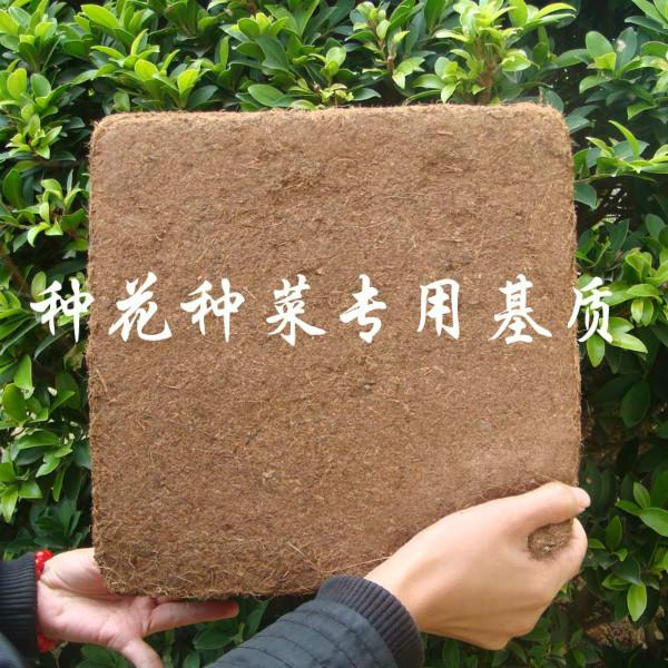 椰土砖可替代泥炭的优质基质