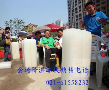 上海市青浦区-华新镇降温冰块出售厂家