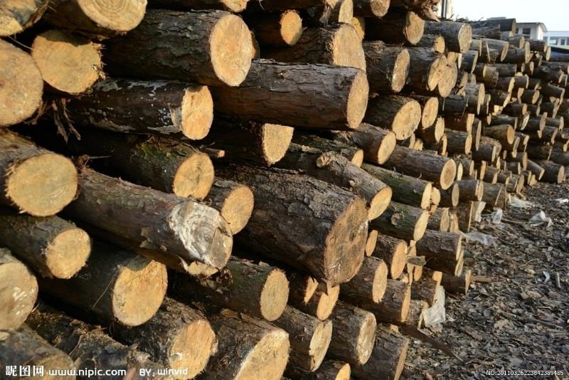 欧洲木材进口报关批发