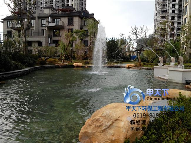 供应衢州市景观鱼池水处理方案
