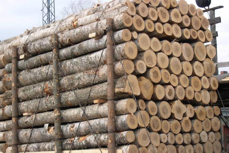 供应原木进口单证资料木材进口流程图片