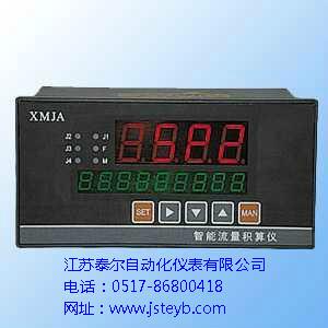 供应TE-XMJA-9000系列智能流量积算仪