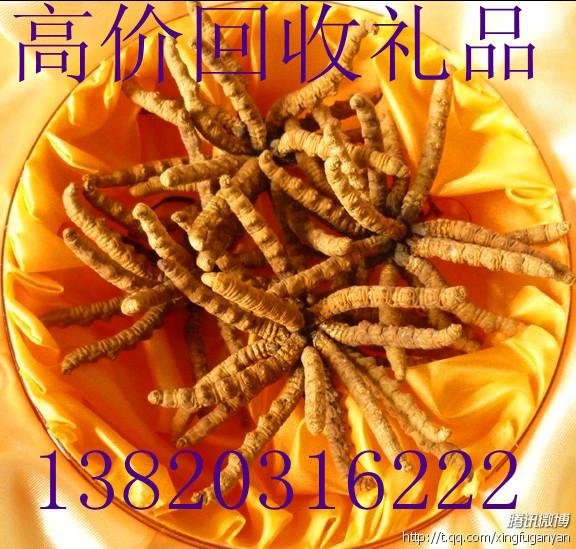 供应上海虫草18670211111上海回收冬虫夏草诚信高价