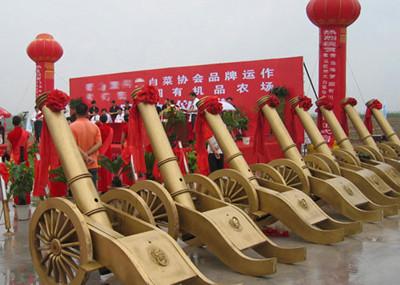 供应上海开业剪彩仪式策划