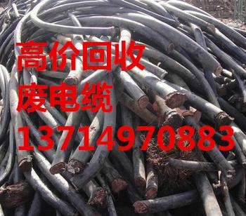 供应布吉废电线电缆回收.深圳三和废电缆回收公司