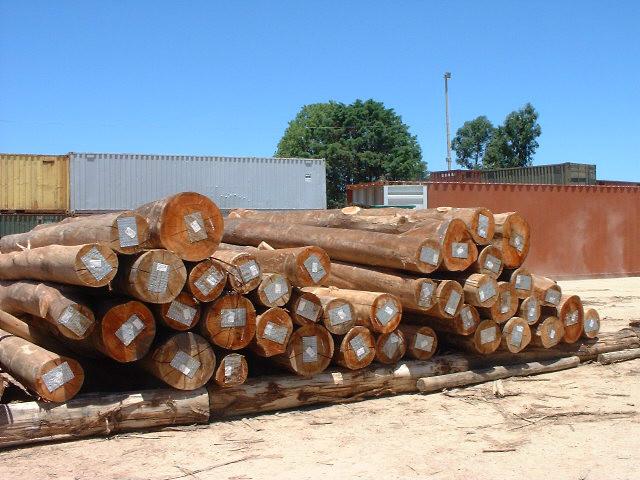 供应北美木材进口清关报关代理 图片