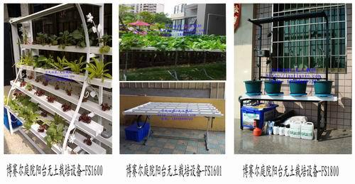 供应用于阳台|家庭无土栽培的广东家庭农场无土栽培水培技术