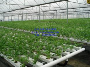供应用于无土栽培技术|水培技术的大棚蔬菜种植叶菜无土栽培设备安装
