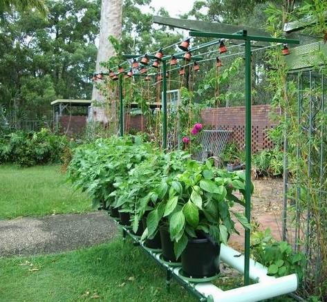 供应用于无土蔬菜种植的家庭阳台种菜设备阳台无土栽培设备