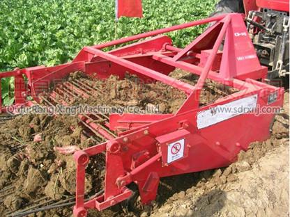 供应地下根茎挖掘机，土豆收获机直销，收获机厂家