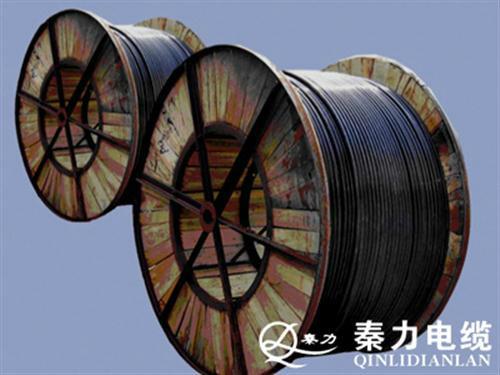 西安10KV高压电缆厂陕西10KV高压电缆厂陕西电线电缆厂