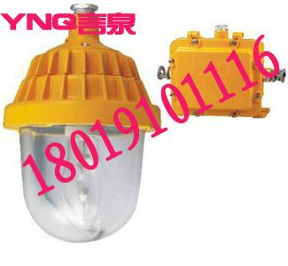 供应BPC8720-J150工厂防爆平台灯