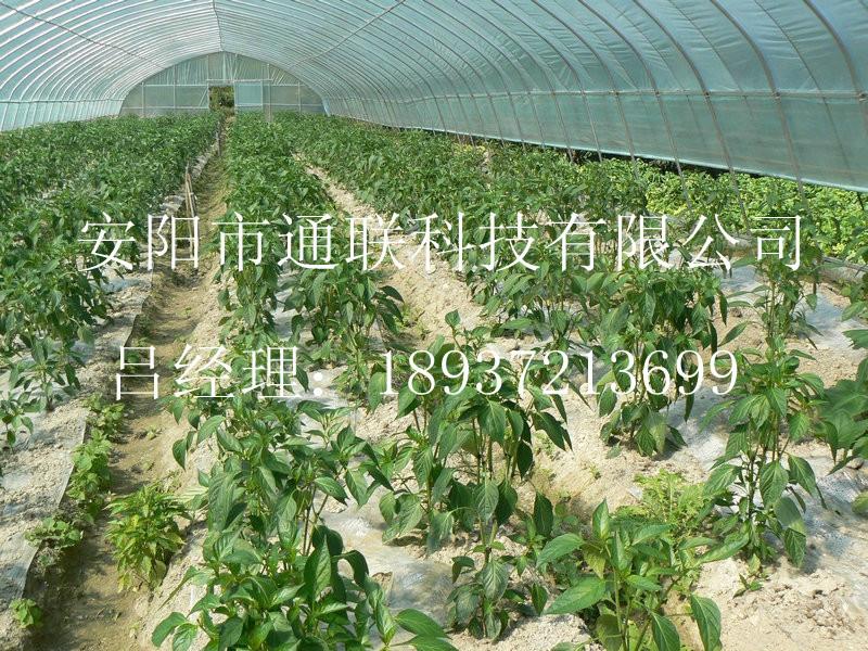 供应天津新型薄膜蔬菜大棚建造造价，蓟县新型薄膜蔬菜大棚骨架安装厂家
