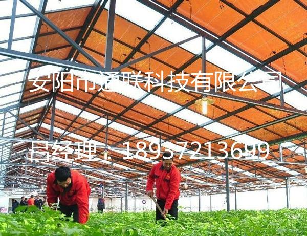 天津新式钢管温室大棚建造批发