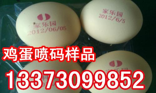 小型鸡蛋喷码机鸡蛋打码机供应小型鸡蛋喷码机鸡蛋打码机价格便宜日期鸡蛋打码机