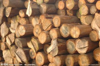 欧洲木材进口清关代理批发