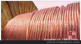 温州市裸铜绞线软铜绞线硬铜绞线厂家