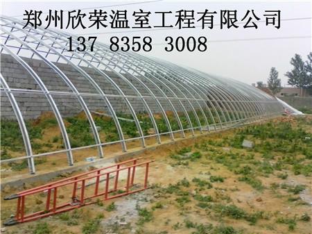 供应几字钢温室建造公司 郑州欣荣温室几字钢骨架加工基地