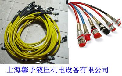供应上海-SPAYTE测压软管，超高手动泵，超高压压力表，超高压快速
