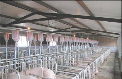 供应智能饲喂站 自动喂料线 料线厂家 育肥猪自动喂料系统 畜牧机械