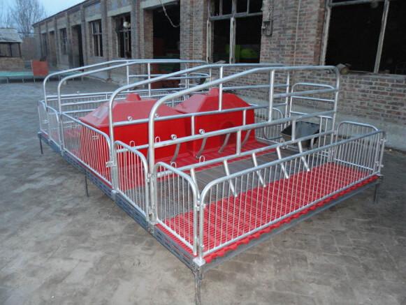 供应养猪设备猪床 保育床 定位栏 猪产床 养猪设备