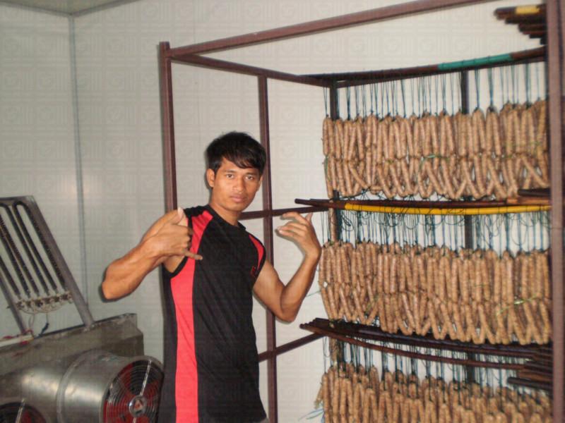 东莞市湖南腊味节能烘干箱|新型智能干燥厂家