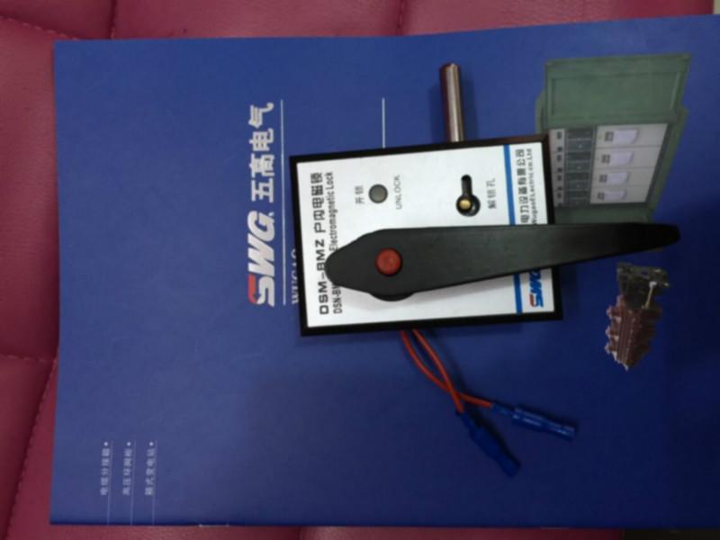 供应DSN柜内电磁锁-上海五高自产自销-上海五高电磁锁-电磁锁DSN系列-上海五高DSN-DSN电磁锁系列图片