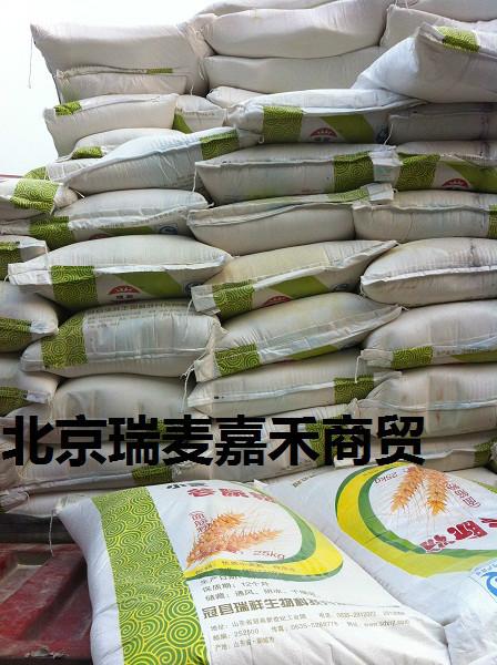 供应小麦蛋白粉批发商