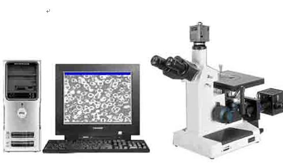 供应济南金相显微镜连接分析软件加摄像