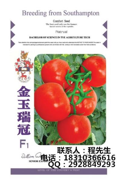 供应金玉瑞冠F1-耐热耐低温番茄种子