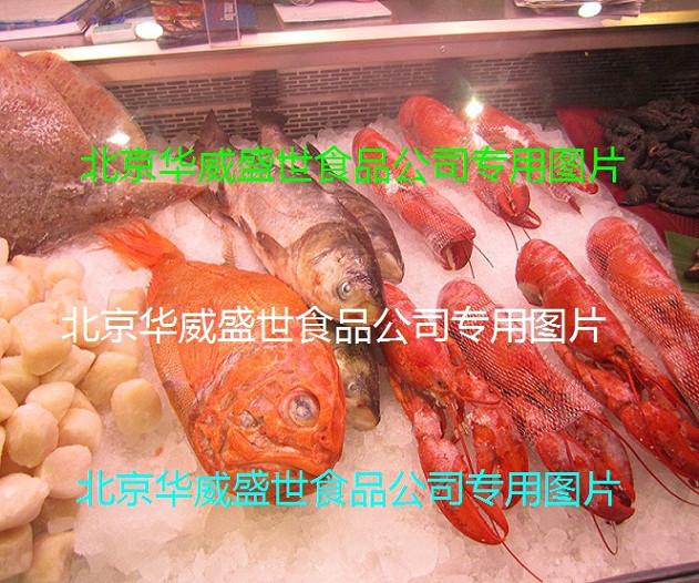 北京市进口长寿鱼厂家供应进口长寿鱼
