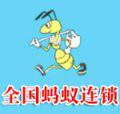 杭州企事业单位的搬迁钢琴搬运批发
