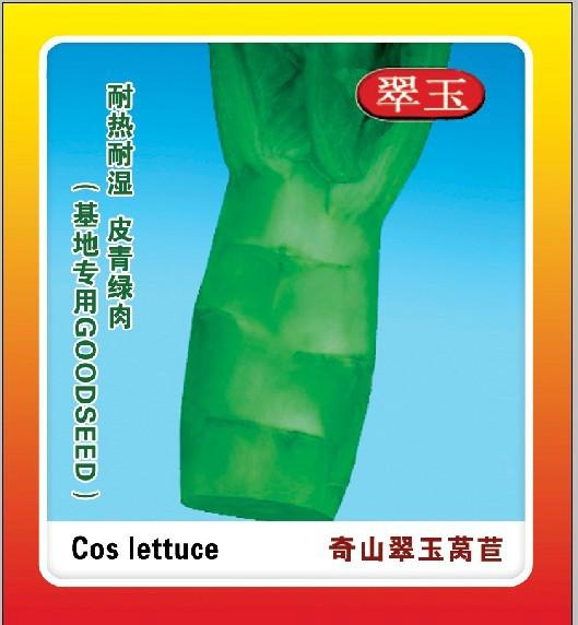 供应用于蔬菜基地的耐高温新品种奇山翠玉莴苣种子图片