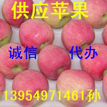 供应用于水果的山东美八嘎啦金帅苹果大量低价批发图片