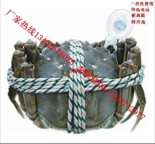 供应用于标识的螃蟹戒指 大闸蟹防伪扣 自助提货卡
