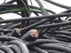 供应废电缆回收价格