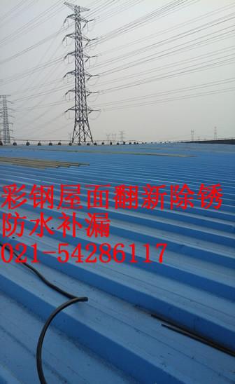 供应上海南汇工业园区屋面补漏图片