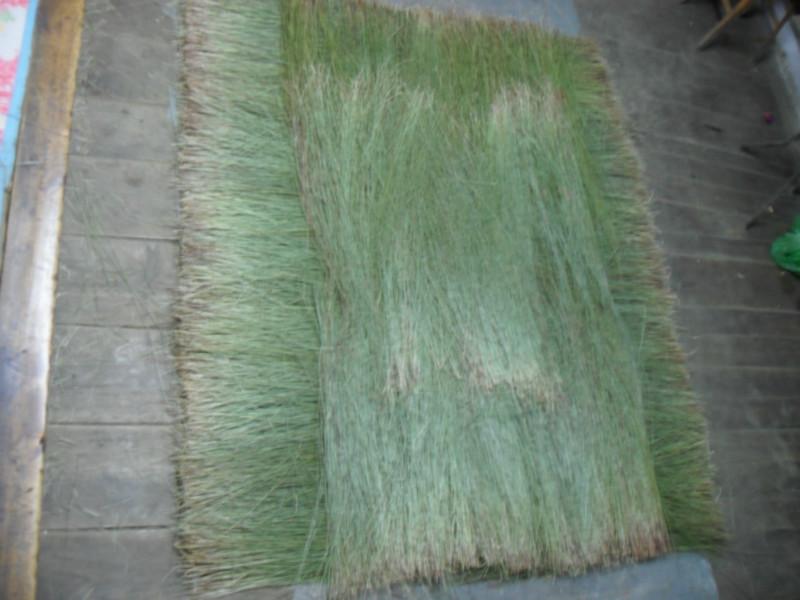 供应批发东北野生乌拉草，用于制造床垫、鞋垫、草编工艺品
