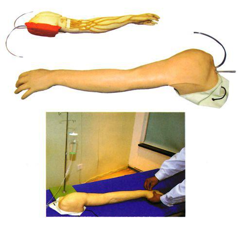 供应完整静脉穿刺及注射训练手臂模型