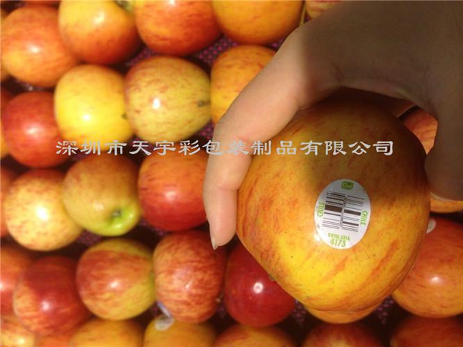 供应深圳水果不干胶标签型号TYC-001图片