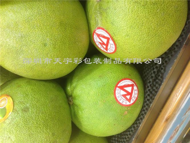 供应深圳水果不干胶标签型号TYC-001