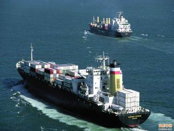 供应上海国际海运公司，危险品国际运输专线
