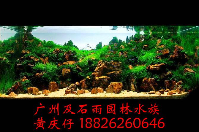 供应广州及石雨供应批发造景石火山石，沉木杜鹃根